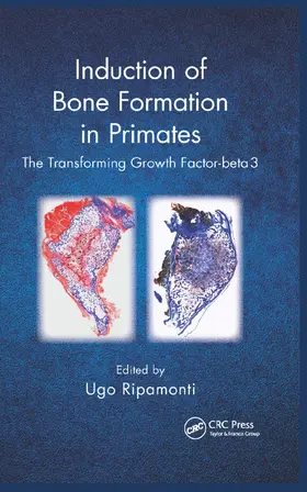 Ripamonti | Induction of Bone Formation in Primates | Buch | 978-0-367-37740-3 | sack.de
