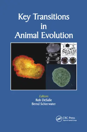 Desalle / Schierwater |  Key Transitions in Animal Evolution | Buch |  Sack Fachmedien