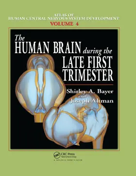 Bayer / Altman | The Human Brain During the Late First Trimester | Buch | 978-0-367-39094-5 | sack.de