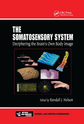 Nelson | The Somatosensory System | Buch | 978-0-367-39673-2 | sack.de
