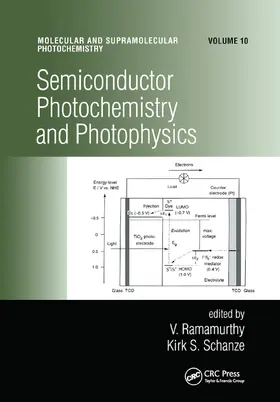 Ramamurthy / Schanze | Semiconductor Photochemistry And Photophysics/Volume Ten | Buch | 978-0-367-44679-6 | sack.de