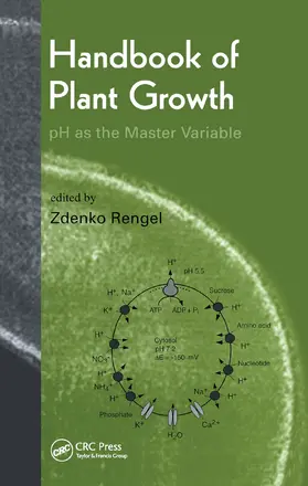 Rengel |  Handbook of Plant Growth pH as the Master Variable | Buch |  Sack Fachmedien