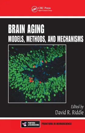 Riddle | Brain Aging | Buch | 978-0-367-45310-7 | sack.de