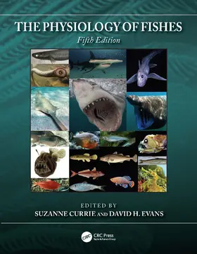 Currie / Evans |  The Physiology of Fishes | Buch |  Sack Fachmedien