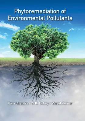 Chandra / Dubey / Kumar |  Phytoremediation of Environmental Pollutants | Buch |  Sack Fachmedien