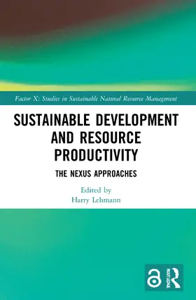 Lehmann |  Sustainable Development and Resource Productivity | Buch |  Sack Fachmedien