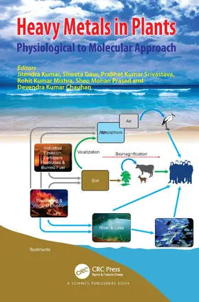 Kumar / Gaur / Srivastava |  Heavy Metals in Plants | Buch |  Sack Fachmedien