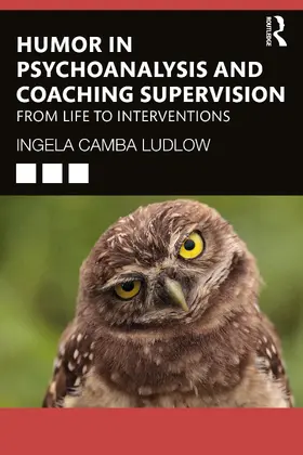 Ludlow |  Humour in Psychoanalysis and Coaching Supervision | Buch |  Sack Fachmedien