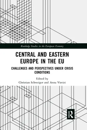 Schweiger / Visvizi |  Central and Eastern Europe in the EU | Buch |  Sack Fachmedien