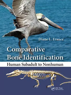 France | Comparative Bone Identification | Buch | 978-0-367-77788-3 | www2.sack.de