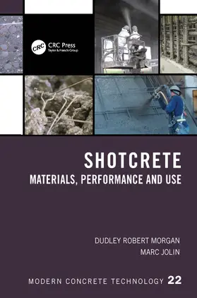 De Schutter / Lesage |  Active Rheology Control of Cementitious Materials | Buch |  Sack Fachmedien