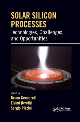Ceccaroli / Ovrelid / Pizzini |  Solar Silicon Processes | Buch |  Sack Fachmedien