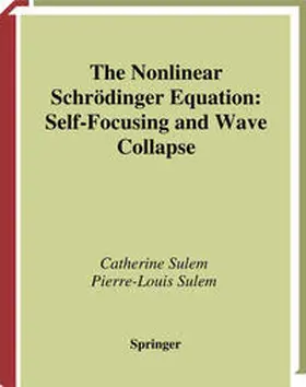 Sulem |  The Nonlinear Schrödinger Equation | eBook | Sack Fachmedien