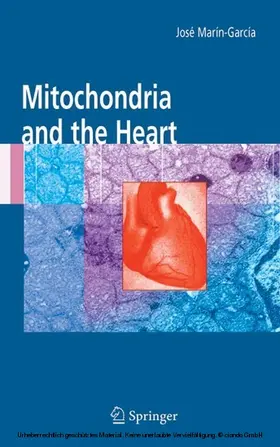 Marín-García |  Mitochondria and the Heart | eBook | Sack Fachmedien