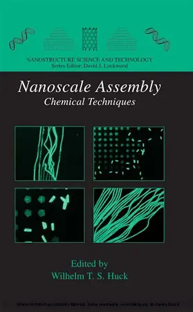 Huck |  Nanoscale Assembly | eBook | Sack Fachmedien