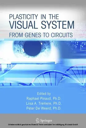 Pinaud / Tremere / de Weerd | Plasticity in the Visual System | E-Book | sack.de