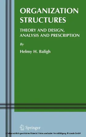 Baligh |  Organization Structures | eBook | Sack Fachmedien
