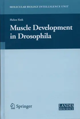 Sink | Muscle Development in Drosophilia | Buch | 978-0-387-30053-5 | sack.de