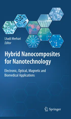 Merhari | Hybrid Nanocomposites for Nanotechnology | E-Book | sack.de