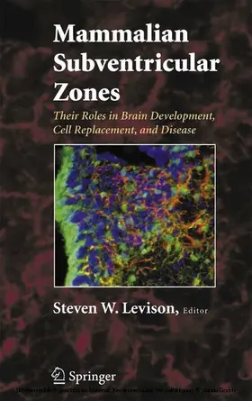 Levison | Mammalian Subventricular Zones | E-Book | sack.de