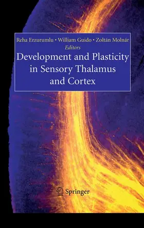 Erzurumlu / Molnar / Guido |  Development and Plasticity in Sensory Thalamus and Cortex | Buch |  Sack Fachmedien