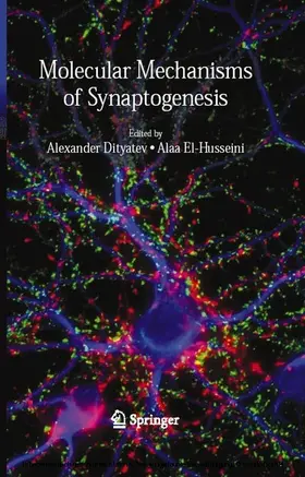 Dityatev / El-Husseini |  Molecular Mechanisms of Synaptogenesis | eBook | Sack Fachmedien