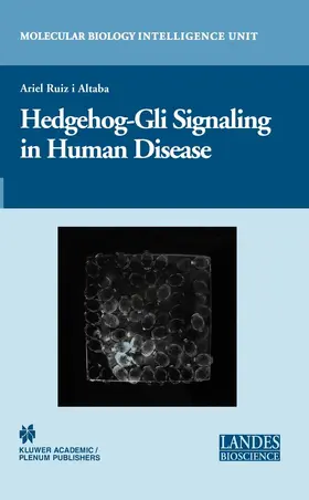 Ruiz i Altaba |  Hedgehog-Gli Signaling in Human Disease | eBook | Sack Fachmedien