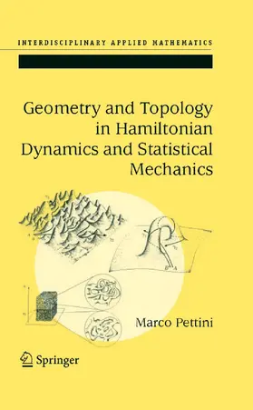 Pettini |  Geometry and Topology in Hamiltonian Dynamics and Statistical Mechanics | eBook | Sack Fachmedien