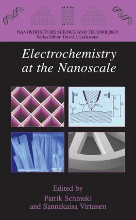 Schmuki / Virtanen |  Electrochemistry at the Nanoscale | Buch |  Sack Fachmedien