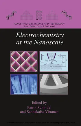 Schmuki / Virtanen |  Electrochemistry at the Nanoscale | eBook | Sack Fachmedien