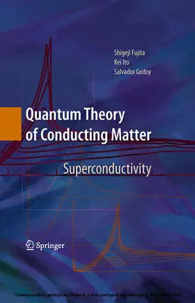 Fujita / Ito / Godoy |  Quantum Theory of Conducting Matter | eBook | Sack Fachmedien