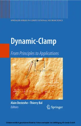 Destexhe / Bal / Destexhe. |  Dynamic-Clamp | eBook | Sack Fachmedien