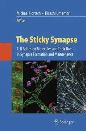 Umemori / Hortsch |  The Sticky Synapse | Buch |  Sack Fachmedien