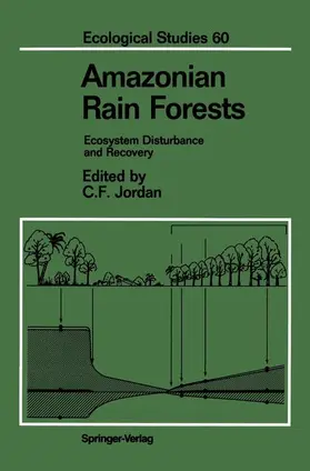 Jordan | Amazonian Rain Forests | Buch | 978-0-387-96397-6 | sack.de