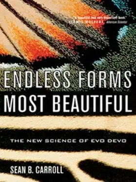 Carroll |  Endless Forms Most Beautiful | eBook | Sack Fachmedien