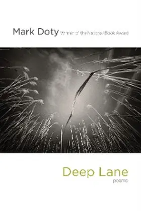 Doty |  Deep Lane | eBook | Sack Fachmedien