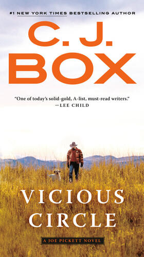 Box |  Vicious Circle | Buch |  Sack Fachmedien