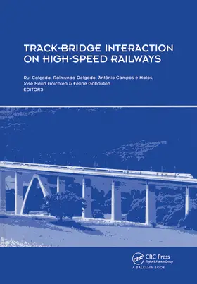 Calcada / Delgado / Campos e Matos |  Track-Bridge Interaction on High-Speed Railways | Buch |  Sack Fachmedien