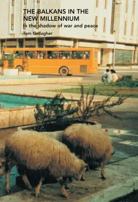 Gallagher |  The Balkans in the New Millennium | Buch |  Sack Fachmedien