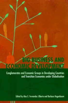 Fernández Jilberto / Hogenboom |  Big Business and Economic Development | Buch |  Sack Fachmedien