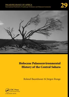 Baumhauer / Runge | Holocene Palaeoenvironmental History of the Central Sahara | Buch | 978-0-415-48256-1 | sack.de