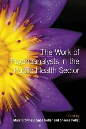 Heller / Pollet |  The Work of Psychoanalysts in the Public Health Sector | Buch |  Sack Fachmedien