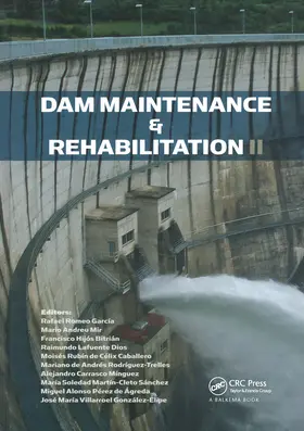 Mir / Garcia / Bitrian |  Dam Maintenance and Rehabilitation II | Buch |  Sack Fachmedien