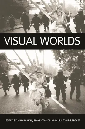 Hall / Stimson / Becker |  Visual Worlds | Buch |  Sack Fachmedien
