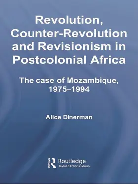 Dinerman |  Revolution, Counter-Revolution and Revisionism in Postcolonial Africa | Buch |  Sack Fachmedien