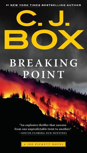 Box | Breaking Point | Buch | 978-0-425-26460-7 | sack.de
