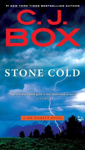 Box |  Stone Cold | Buch |  Sack Fachmedien