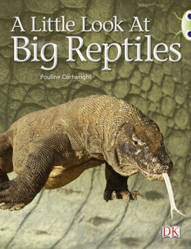 Cartwright |  Bug Club Guided Non Fiction Year 1 Blue B A Little Look at Big Reptiles | Buch |  Sack Fachmedien