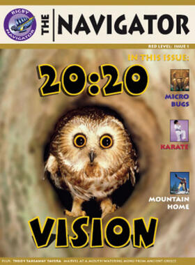  Navigator Yr 6/P7: Non-Fiction Easy Buy Pack 09/08 | Buch |  Sack Fachmedien