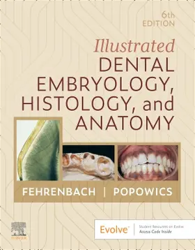 Fehrenbach / Popowics |  Illustrated Dental Embryology, Histology, and Anatomy | Buch |  Sack Fachmedien